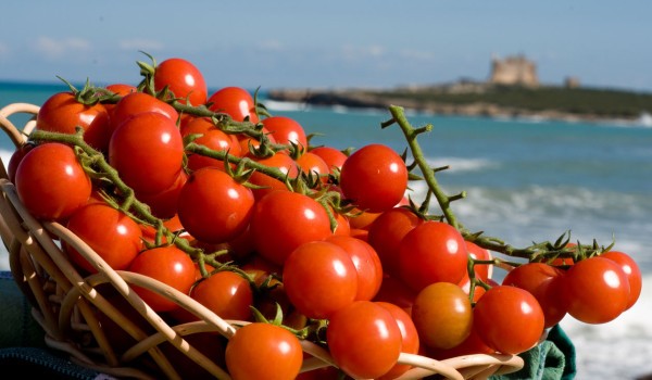 Festa del Pomodoro di Pachino IGP