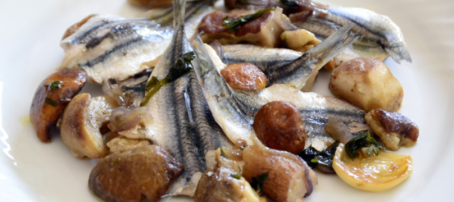 La Sagra dell Acciuga
